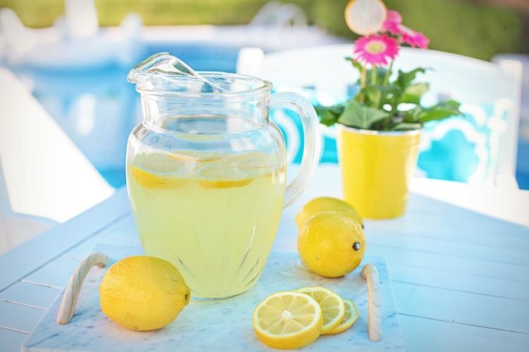 recette citronnade thermomix