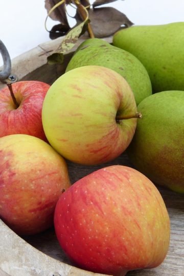 Recette Compote Pomme Poire Thermomix